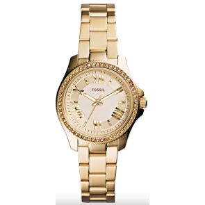 Bracelet de montre Fossil AM4577 Acier inoxydable Plaqué or 14mm